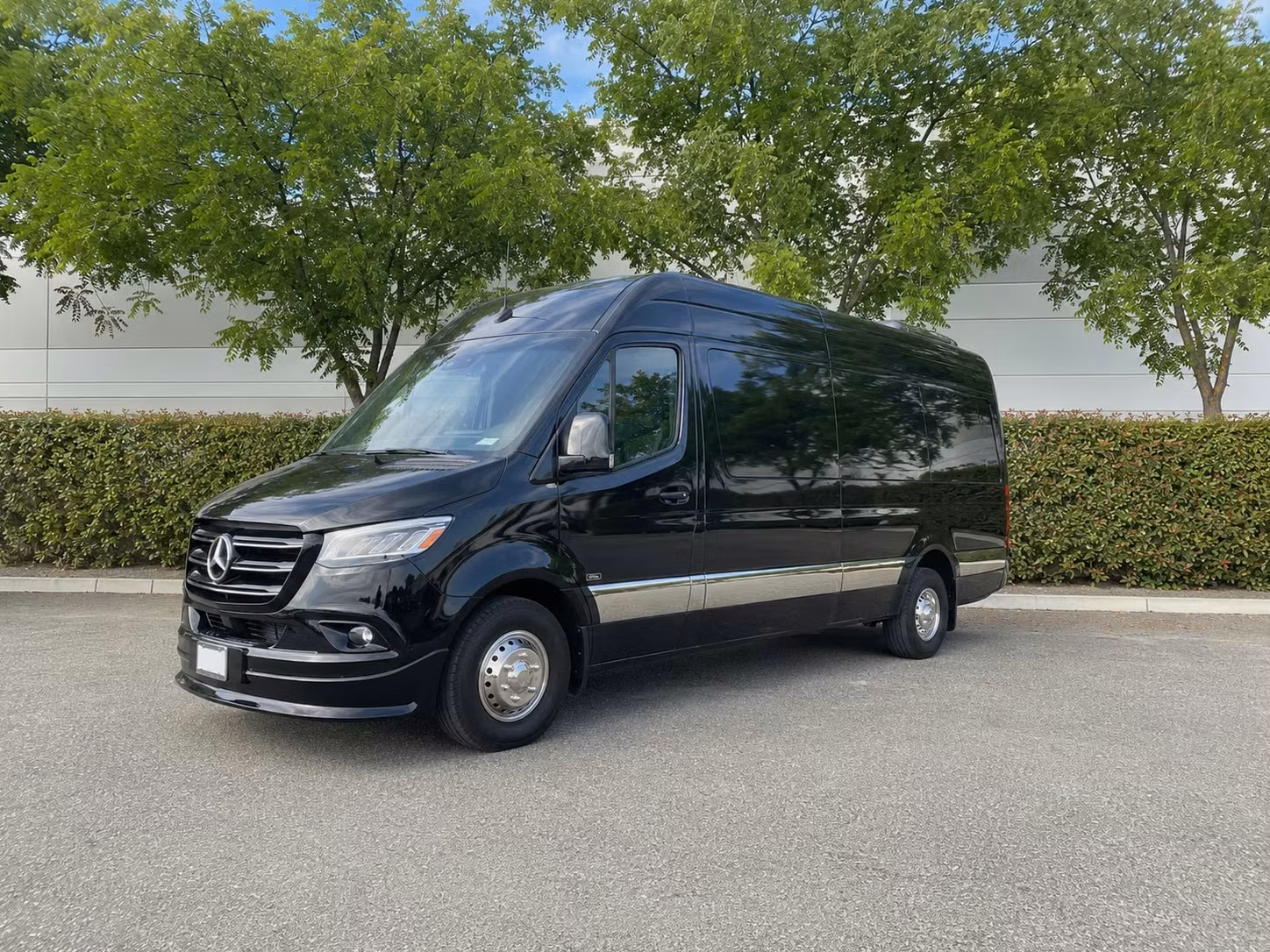 sprinter van with driver
